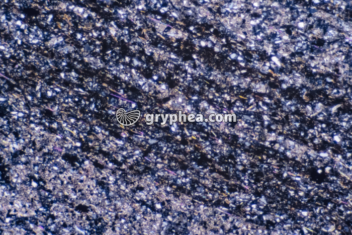 Pélite LPA x10 - gryphea.com